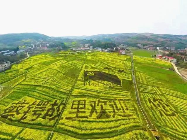 凝心聚力共谱大祥新篇章——大祥区各级党组织扎实学史明理砥砺前行(图9)