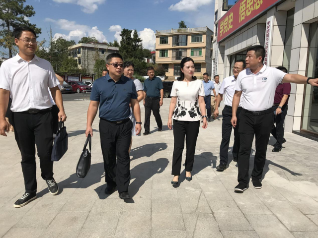 大祥区举行城乡结合部创文现场推进会(图1)