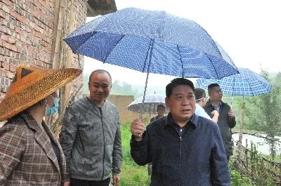 王俊督导农村自建房安全整治和春耕生产抛荒治理工作(图2)
