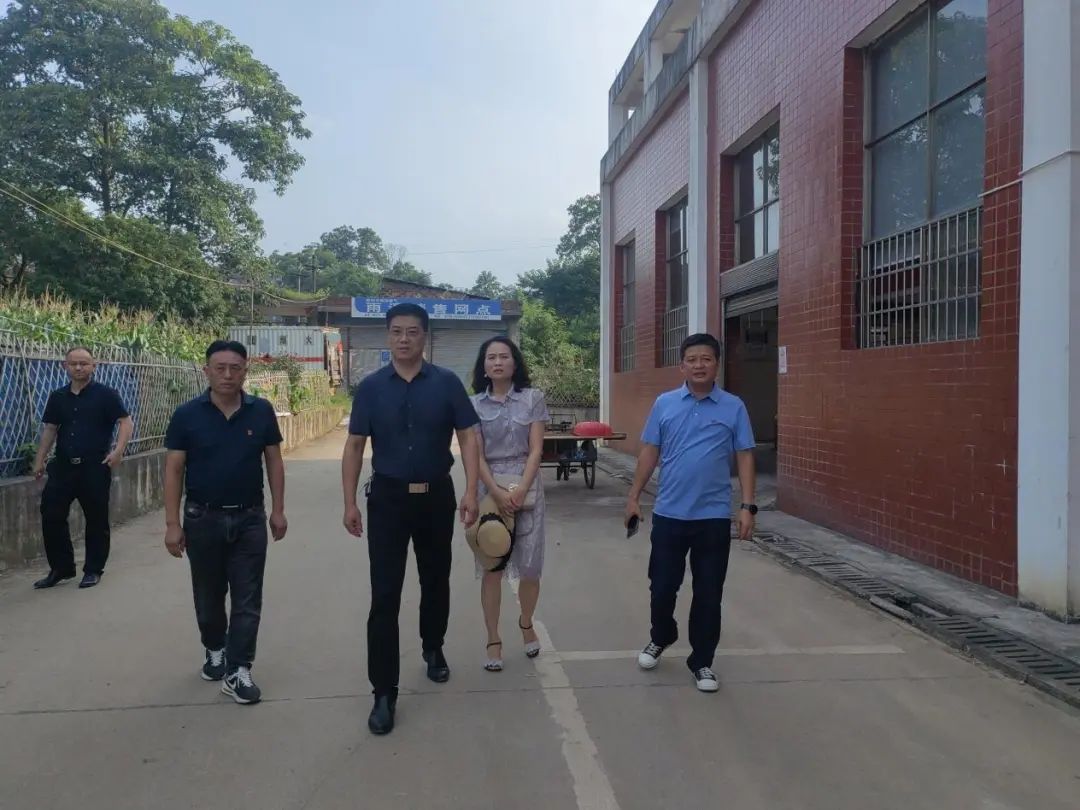 曾峤林下沉雨溪街道督导创文工作(图1)