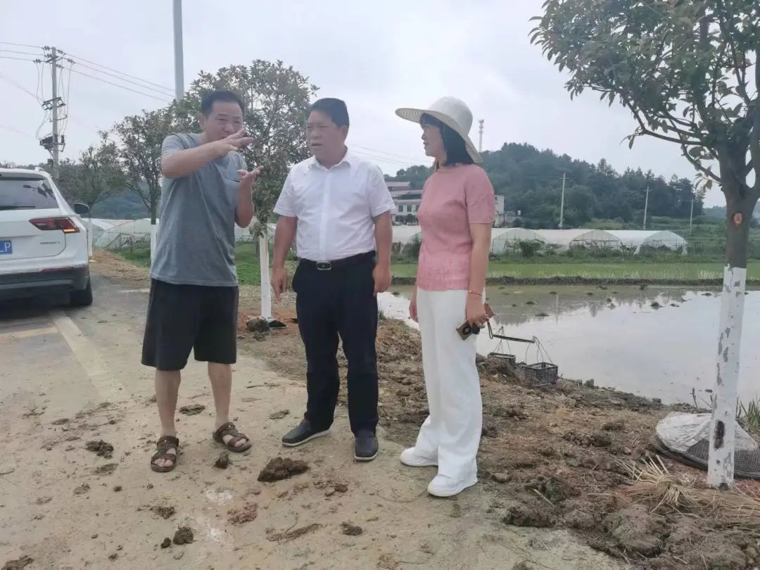 加大力度,加快速度,加紧进度 坚决扛起粮食安全的政治责任——王俊深入基层督导抛荒整治、晚稻生产工作(图2)