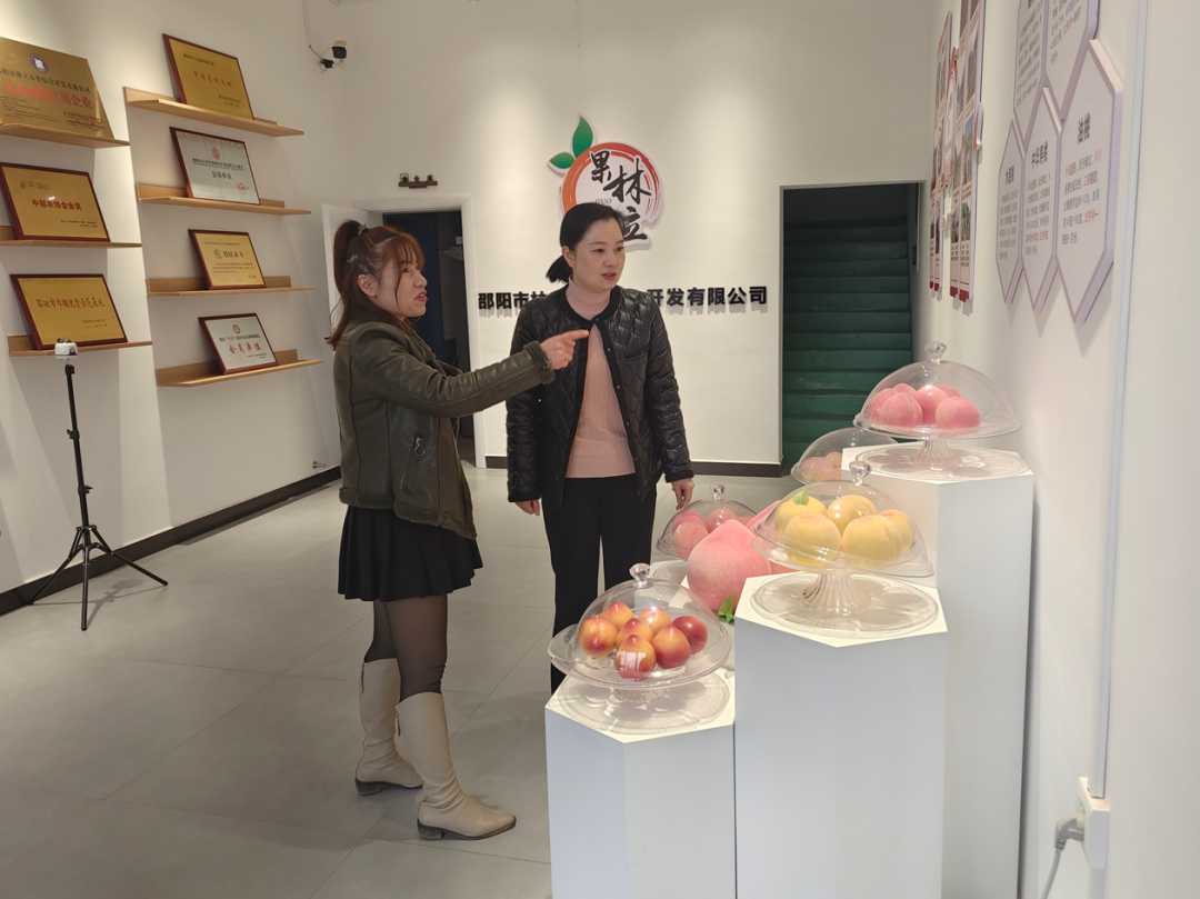 陈容到蔡锷乡走访调研民营企业和乡村振兴工作(图2)