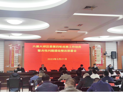 大祥区:召开六届区委第四轮巡察工作动员暨共性问题提级整改部署会议(图3)