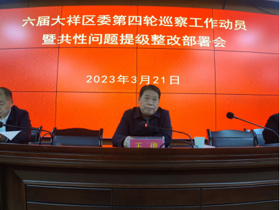大祥区:召开六届区委第四轮巡察工作动员暨共性问题提级整改部署会议(图2)