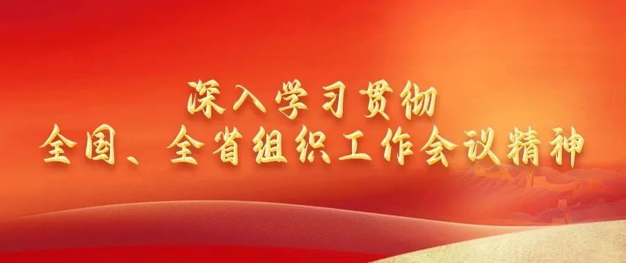 邵阳市大祥区委书记王俊：以高质量组织工作服务大祥高质量发展(图1)