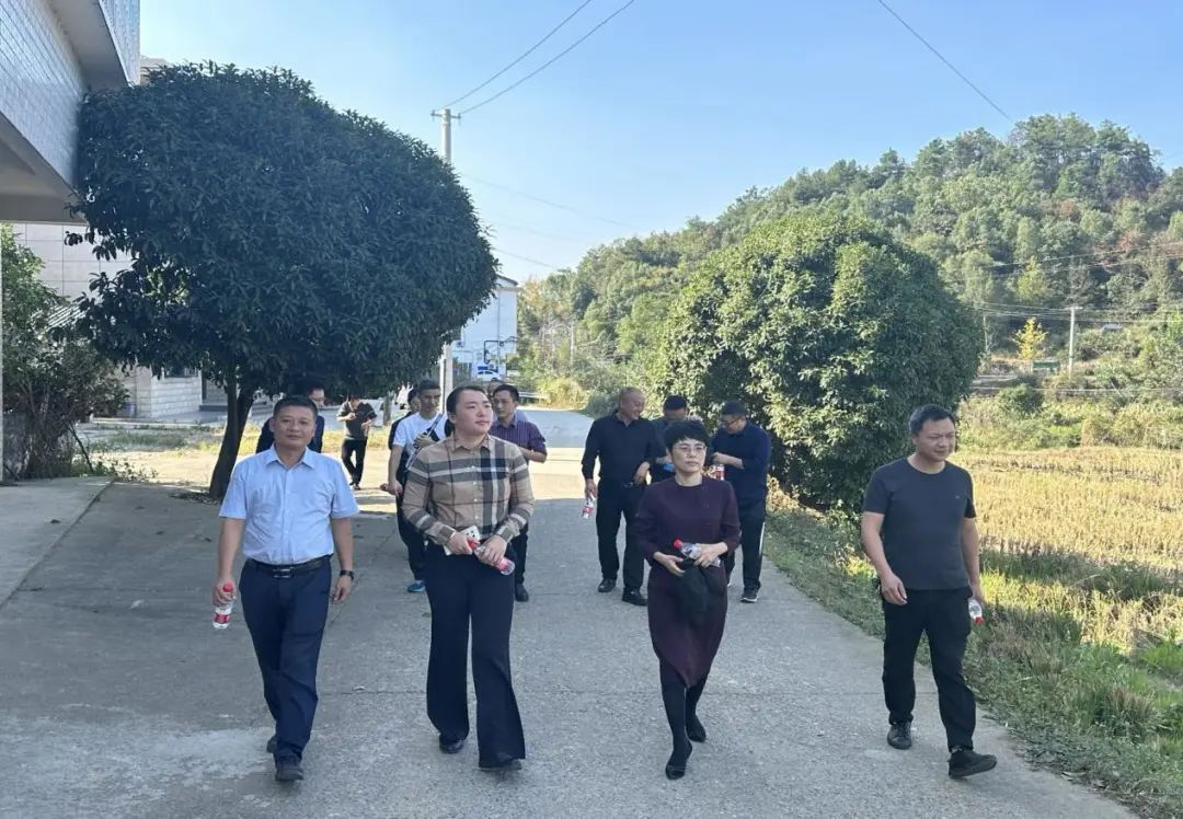 大祥区政协到雨溪街道罗塘村开展垃圾分类专题调研活动(图1)