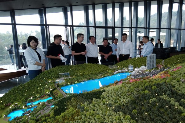 邵阳市人大代表大祥区代表小组开展视察调研活动(图2)