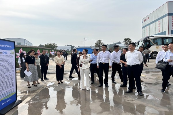 邵阳市人大代表大祥区代表小组开展视察调研活动(图4)