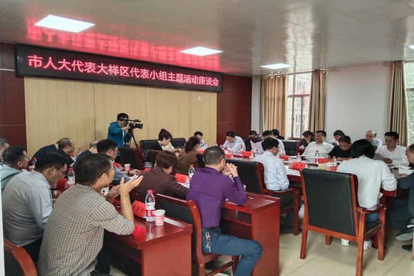 邵阳市人大代表大祥区代表小组开展视察调研活动(图3)
