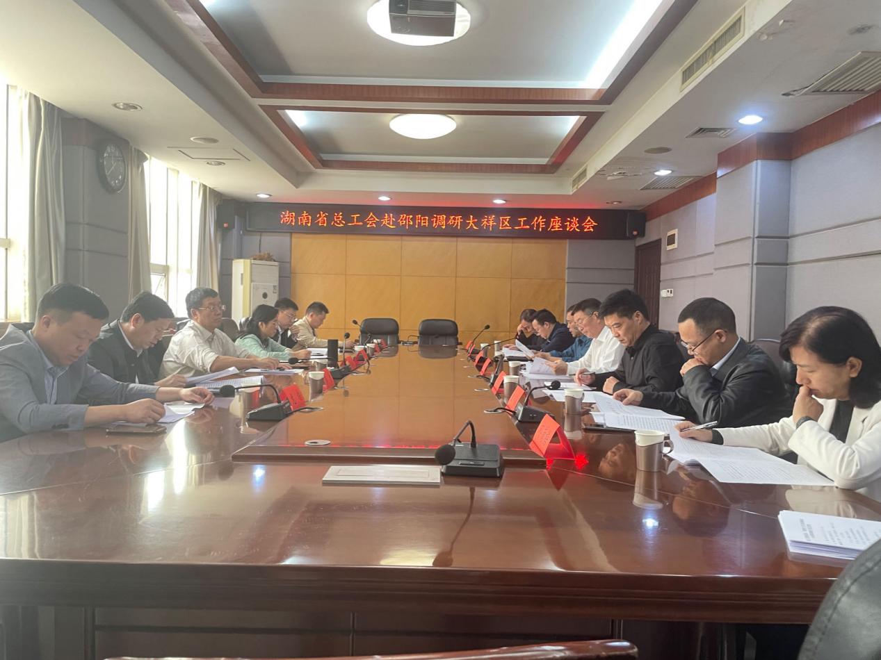 湖南省总工会一行来我区调研(图5)
