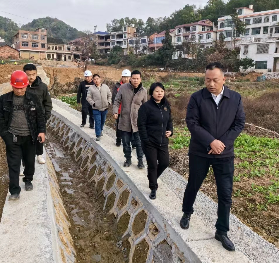 夏向阳实地调研双江口生态环境整治项目建设(图2)