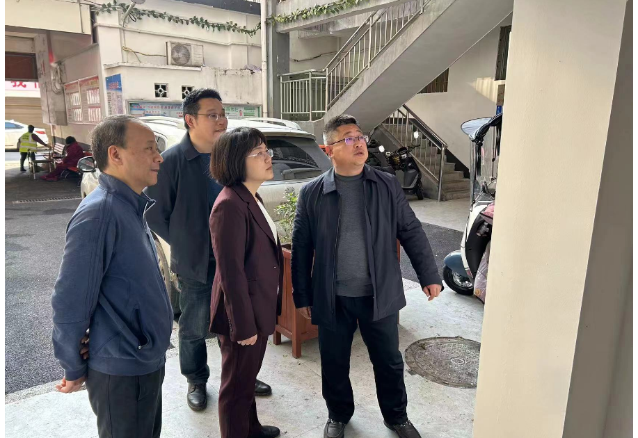 区领导深入一线督查指导，推动创文工作立行立改、全面提升(图6)