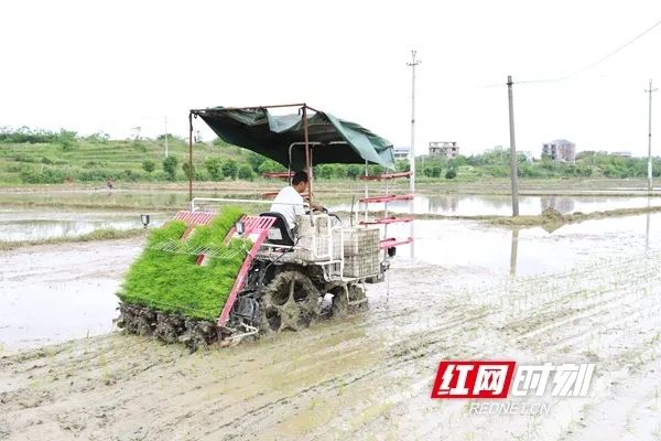 邵阳市大祥区：推动民生实事项目人大代表票决制走深走实(图2)