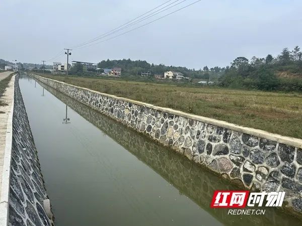 邵阳市大祥区：推动民生实事项目人大代表票决制走深走实(图1)