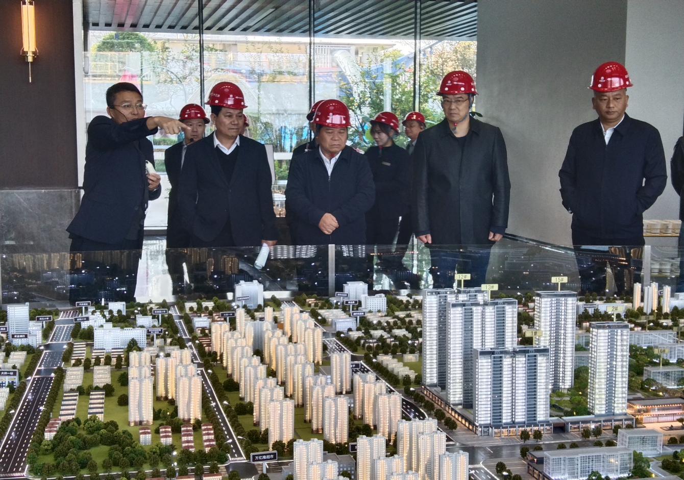 大祥区人大常委会组织驻区省、市人大代表 开展集中视察(图1)