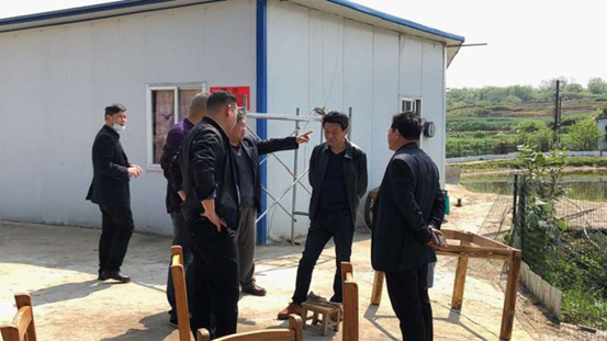王振波到檀江街道指导耕地耕作管理工作(图2)