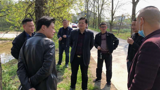 王振波到檀江街道指导耕地耕作管理工作(图1)
