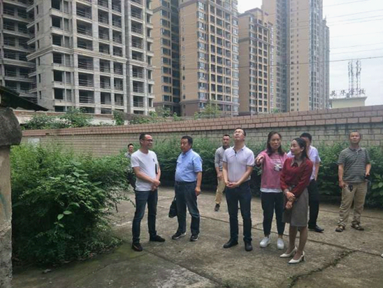 杨玉华督导红旗路街道老旧小区改造工作(图1)