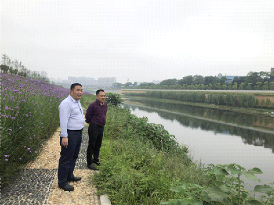 城南街道党政负责人开展河长制巡河(图1)