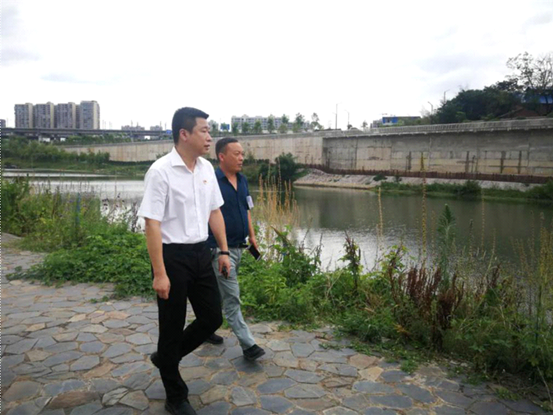 城南街道：党政负责人开展河长制巡河工作(图3)
