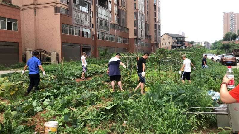 百春园街道：开展自查自纠巩固创卫成果(图1)