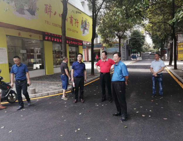 奔着问题查原因 明确责任解难题——市政府副市长李华和到火车南站街道检查指导迎创国卫复审工作(图2)