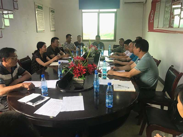 曾艳梅到板桥乡开展农村违法乱占耕地建房问题“百村”大调研活动(图2)
