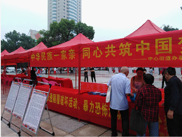 中心街道扎实开展民族团结进步宣传活动(图2)