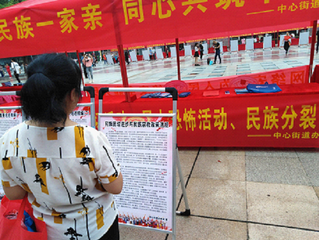 中心街道扎实开展民族团结进步宣传活动(图4)