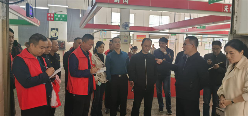 邓涛带队督查雨溪街道迎"国卫"复审工作(图3)