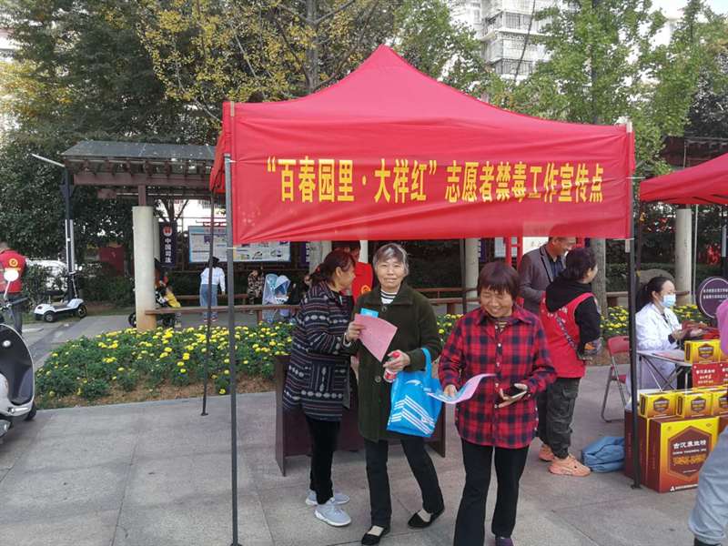 百春园街道开展综治民调、禁毒、扫黑除恶大型宣传活动(图2)