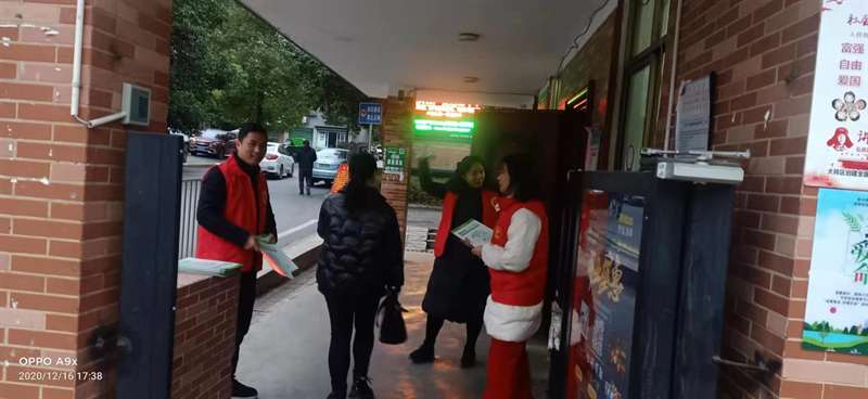 百春园街道开展垃圾分类宣传活动(图2)