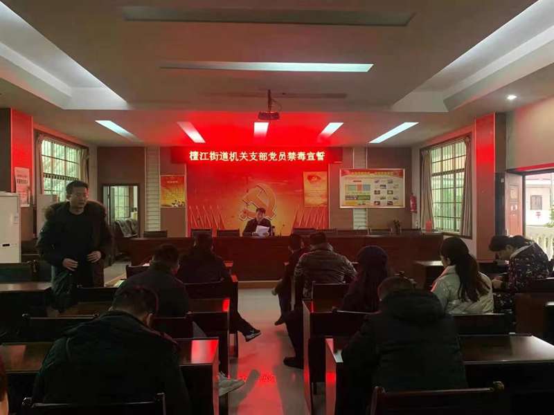 檀江街道开展党员禁毒宣誓活动(图2)