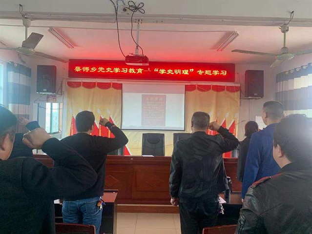 蔡锷乡开展“学史明理”专题学习活动(图1)