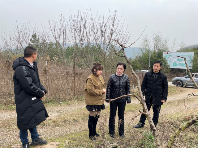 陈容到蔡锷乡走访专家人才：切实发挥人才力量 着力推动乡村振兴(图2)