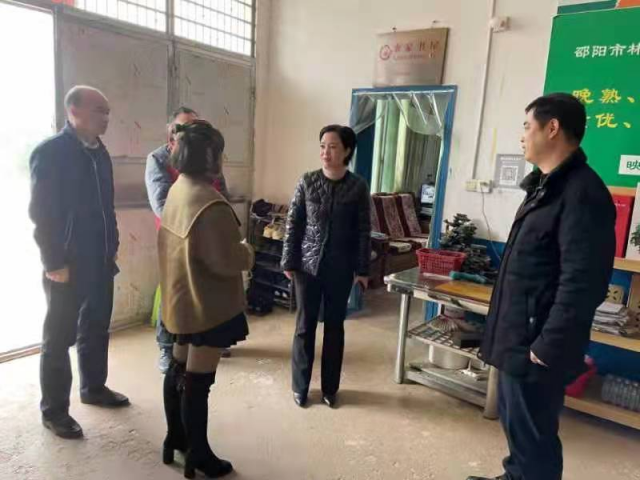 陈容到蔡锷乡走访专家人才：切实发挥人才力量 着力推动乡村振兴(图1)