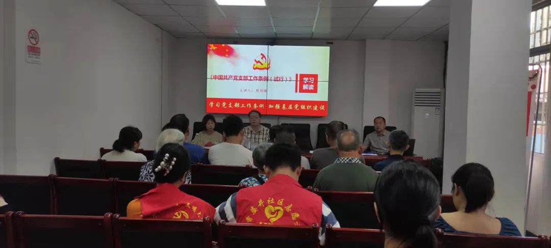 大祥区委组织部机关党支部联合曹婆井社区党总支部开展7月份联合主题党日活动(图1)