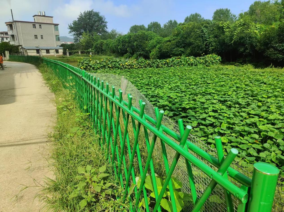 邵阳市大祥区罗市镇全力推进农村人居环境整治，提升“乡村颜值”和群众“幸福指数”(图2)