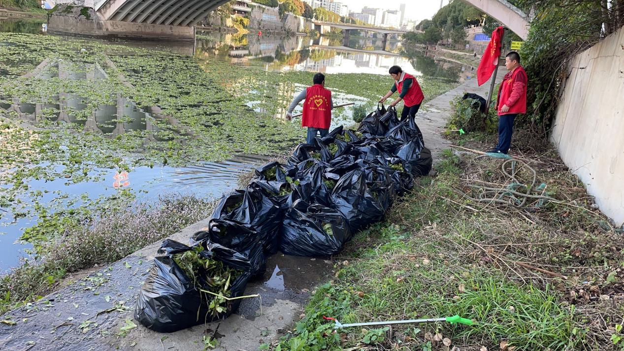 城北街道：以水生态保护深入推进生态环境保护“利剑”行动 助力优化营商环境(图1)