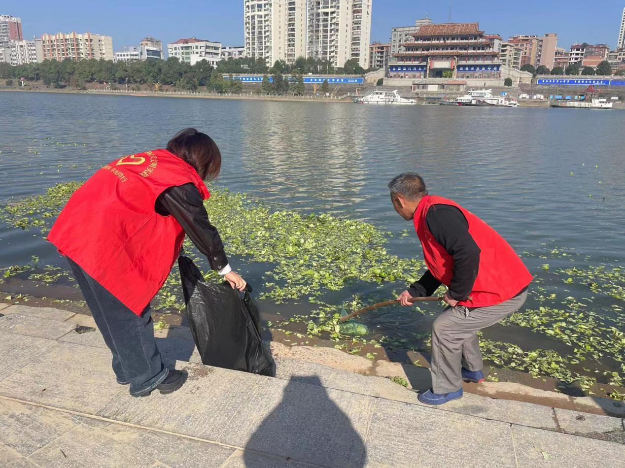 城北街道：以水生态保护深入推进生态环境保护“利剑”行动 助力优化营商环境(图2)