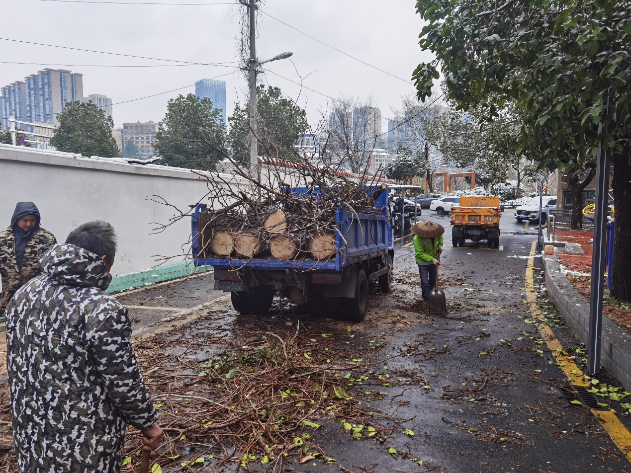 大祥区翠园街道： 雪压树倒存隐患，及时清理解民忧(图2)